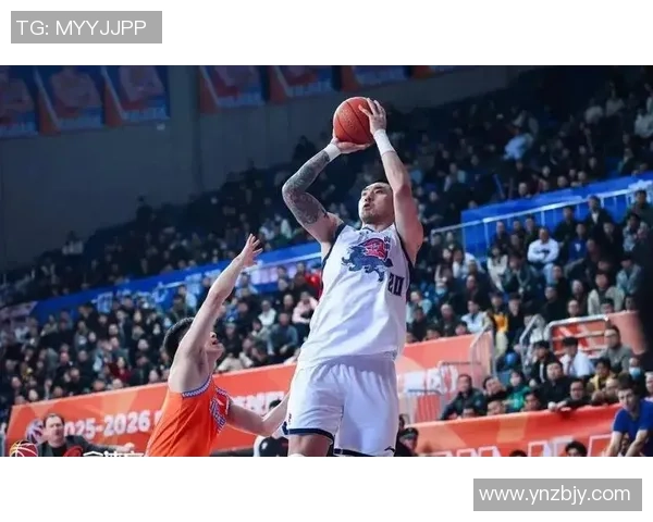 陶汉林：从篮球场上的拼搏者到社会公益的践行者的精彩人生旅程